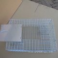 Opvouwbare Humane Bird Trap Cage